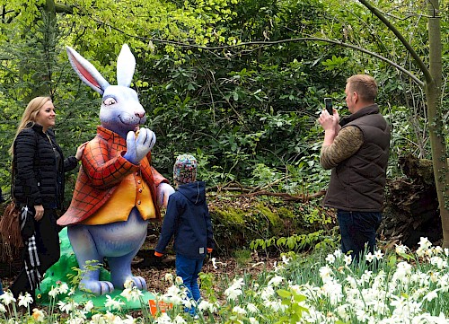 Hase und Besucher