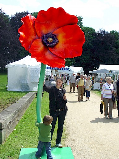 Mohn