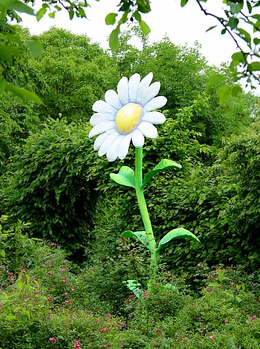 Blumen im Südpark 6