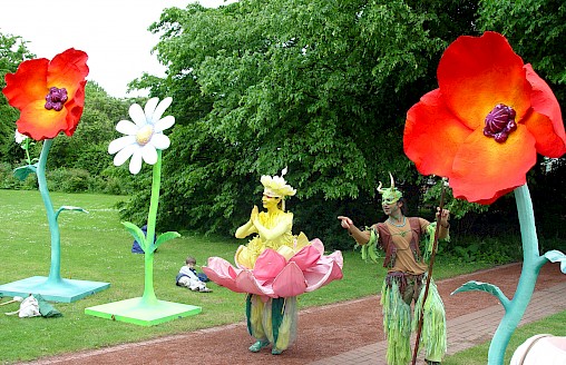 Blumen im Südpark 8