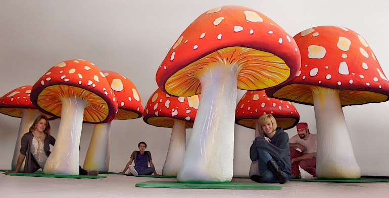 Pilz Panorama 2012