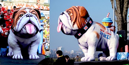 Englische Bulldogge als Frontfigur des BMW-Karnevalswagens für den Düsseldorfer Rosenmontagszug 2015